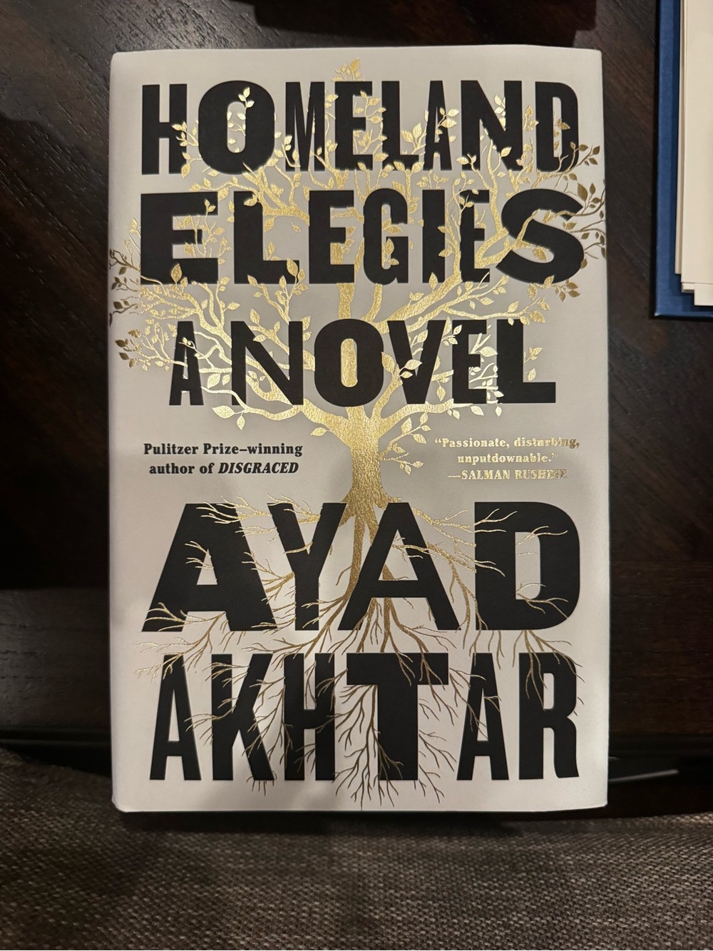 Homeland Elegies